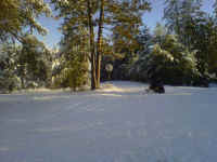 BeaverRd_South_12132010.jpg (541038 bytes)