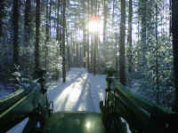 IMG00062-20110130-0922.jpg (678256 bytes)