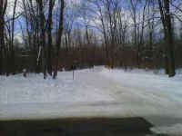 IMG00067-20110130-1235.jpg (547117 bytes)