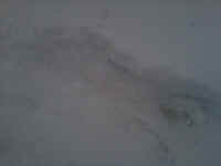 IMG00070-20110202-0844.jpg (279125 bytes)