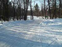 new trail pics 002.jpg (2045906 bytes)