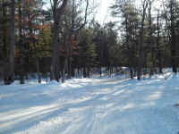 new trail pics 003.jpg (1880754 bytes)