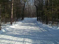 new trail pics 005.jpg (2563031 bytes)