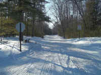 new trail pics 007.jpg (2707653 bytes)
