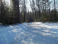 new trail pics 008.jpg (2438433 bytes)