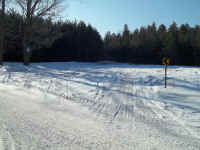 new trail pics 010.jpg (2401370 bytes)