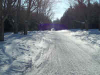 new trail pics 011.jpg (2448237 bytes)