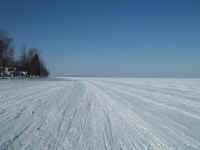 new trail pics 014.jpg (2175084 bytes)