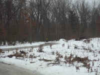 new trail pics 2-22-11 005.jpg (2689797 bytes)