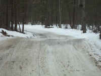 new trail pics 2-22-11 009.jpg (2261380 bytes)