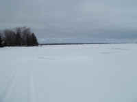 new trail pics 2-22-11 016.jpg (1476338 bytes)