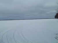 new trail pics 2-22-11 018.jpg (1607845 bytes)