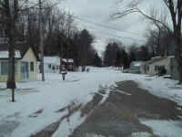 new trail pics 2-22-11 020.jpg (2099246 bytes)
