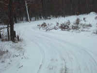 new trail pics 2-22-11 022.jpg (2828395 bytes)