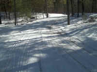 new trail pics 2-22-11 035.jpg (2630977 bytes)