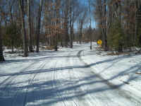 new trail pics 2-22-11 037.jpg (2525920 bytes)