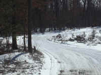 new trail pics 2-22-11 039.jpg (2976861 bytes)
