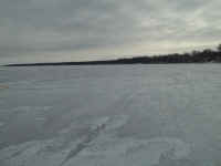 new trail pics 2-22-11 001.jpg (1965468 bytes)