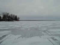 new trail pics 2-22-11 002.jpg (1966815 bytes)