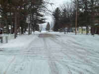 new trail pics 2-22-11 013.jpg (2189929 bytes)