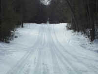 new trail pics 2-22-11 026.jpg (2564874 bytes)