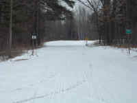 new trail pics 2-22-11 031.jpg (2853404 bytes)