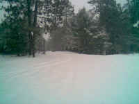 feb07201307.JPG (96743 bytes)