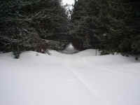 snowmobile trails, Houghton Lake, trail report.