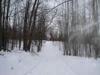Short cut to trail 654, Houghton lake snowmobile trails.