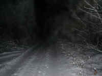Fresh snow, Houghton Lake trails